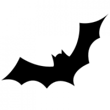 The Bat Professional  Crack